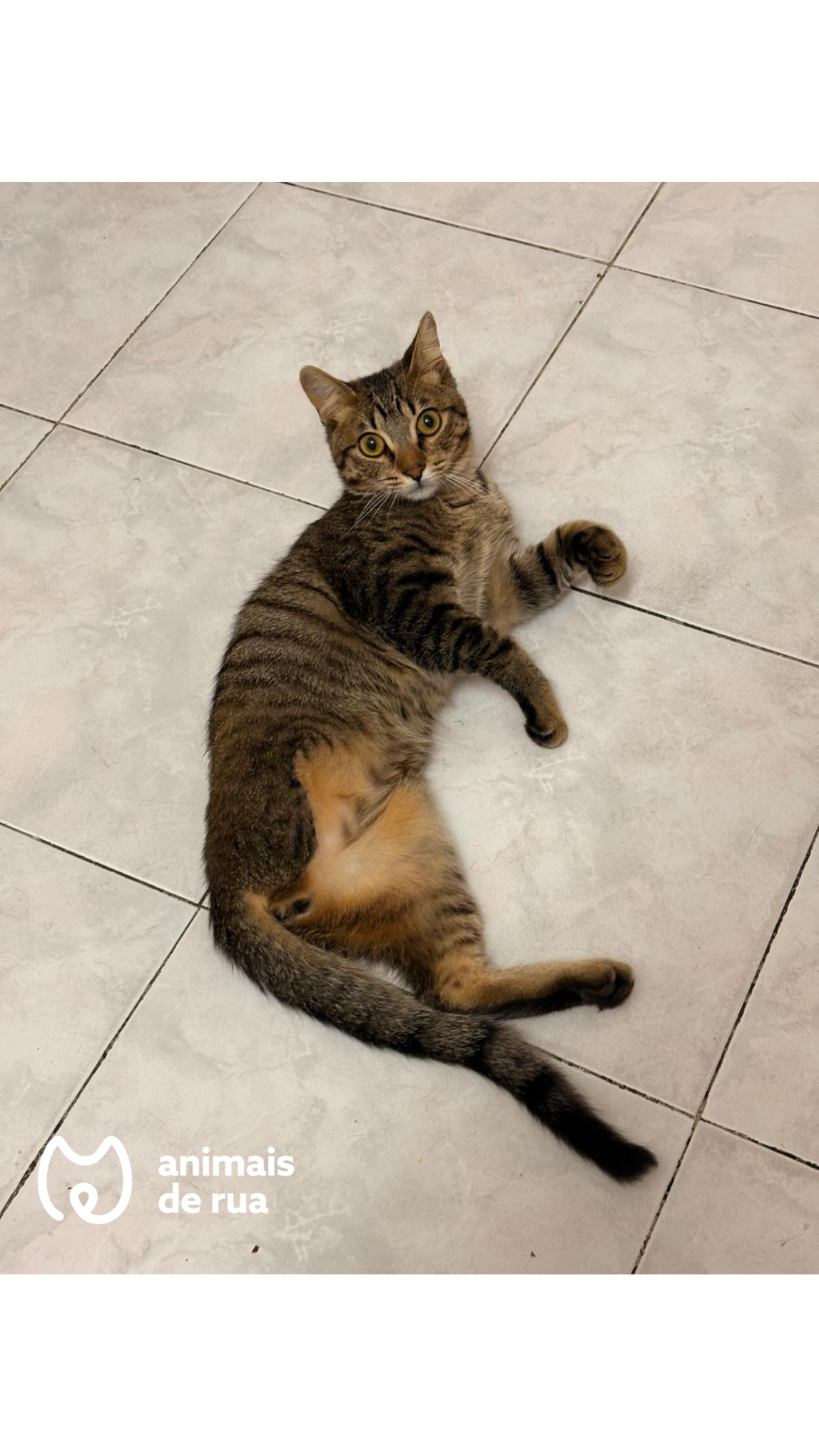Salvador 2