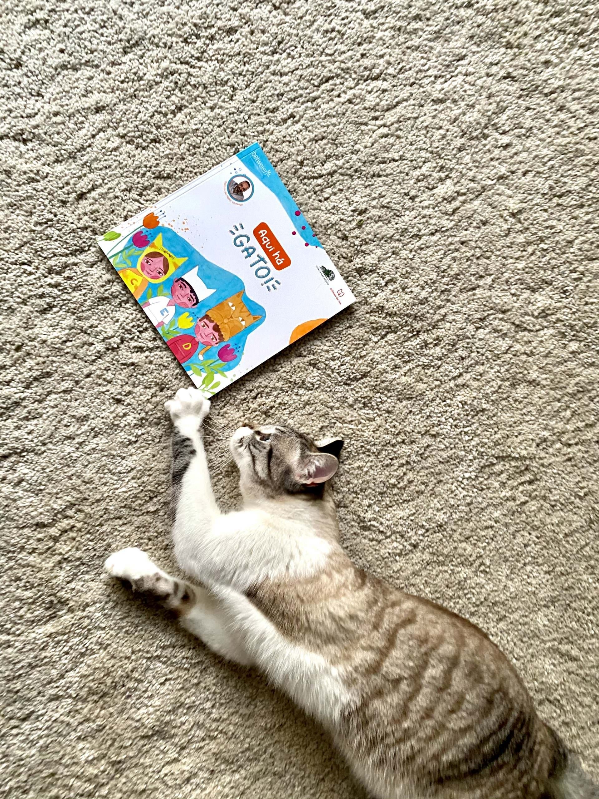 Livro Aqui há Gato!