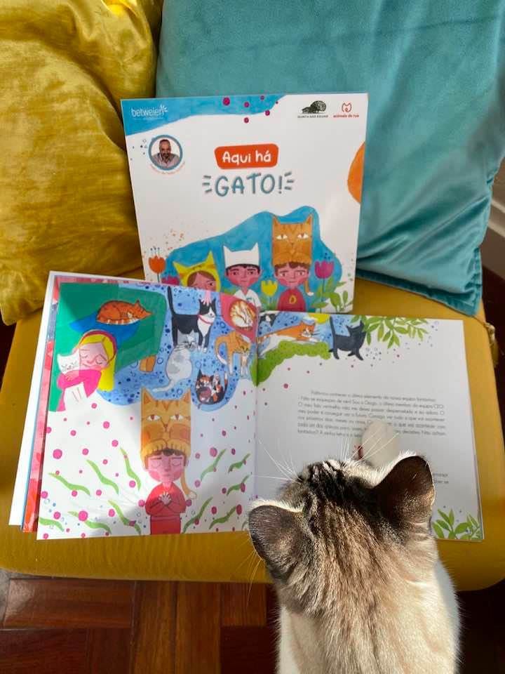 Livro Aqui há Gato!