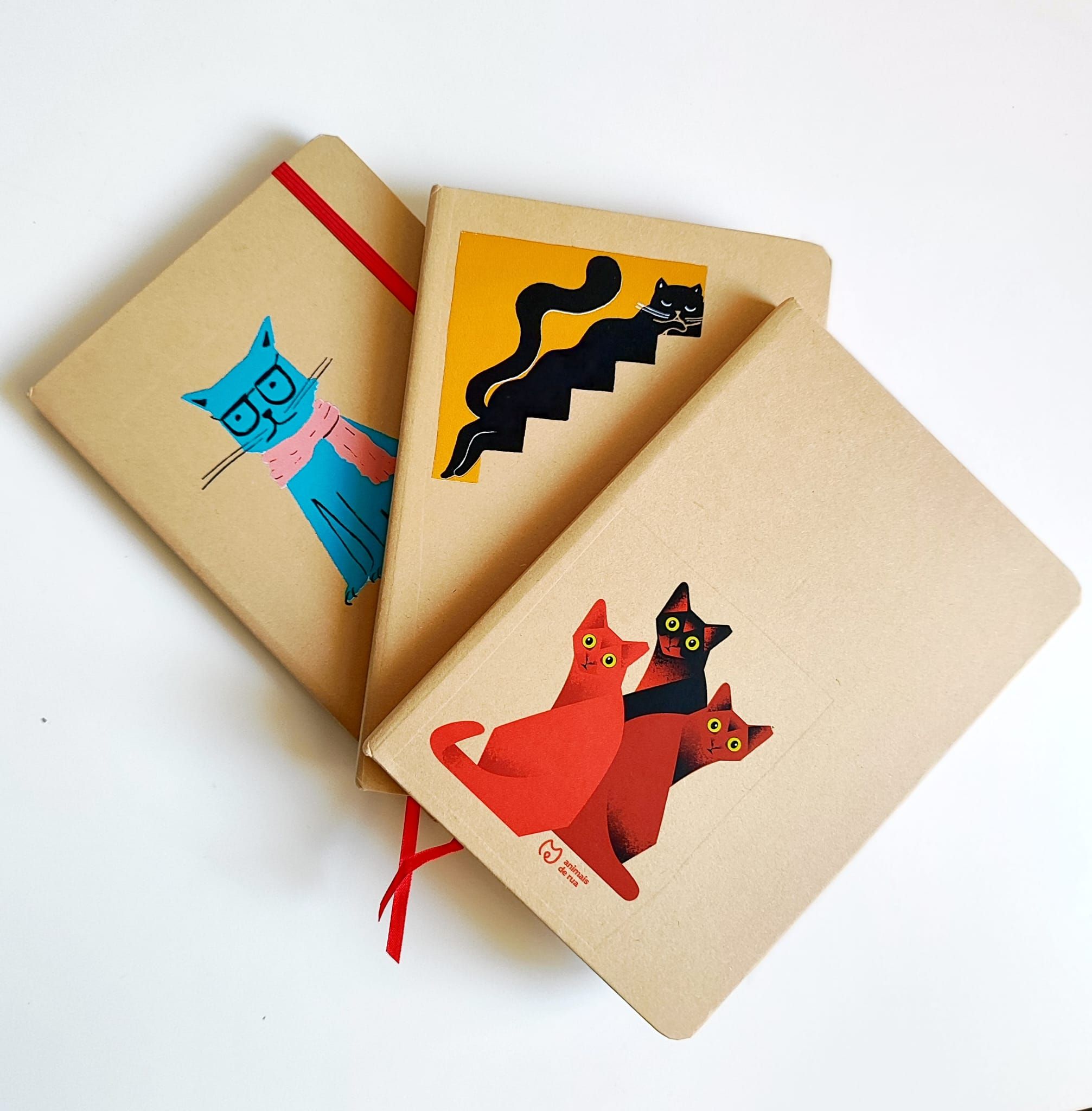 Caderno Ilustrado