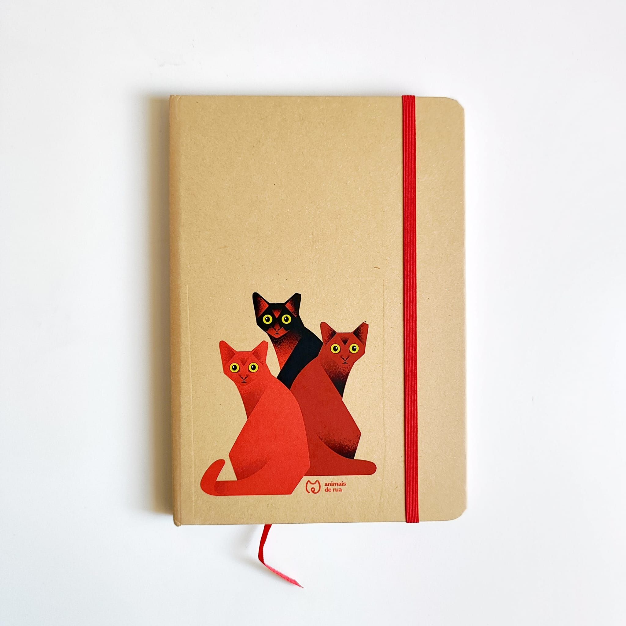 Caderno Ilustrado