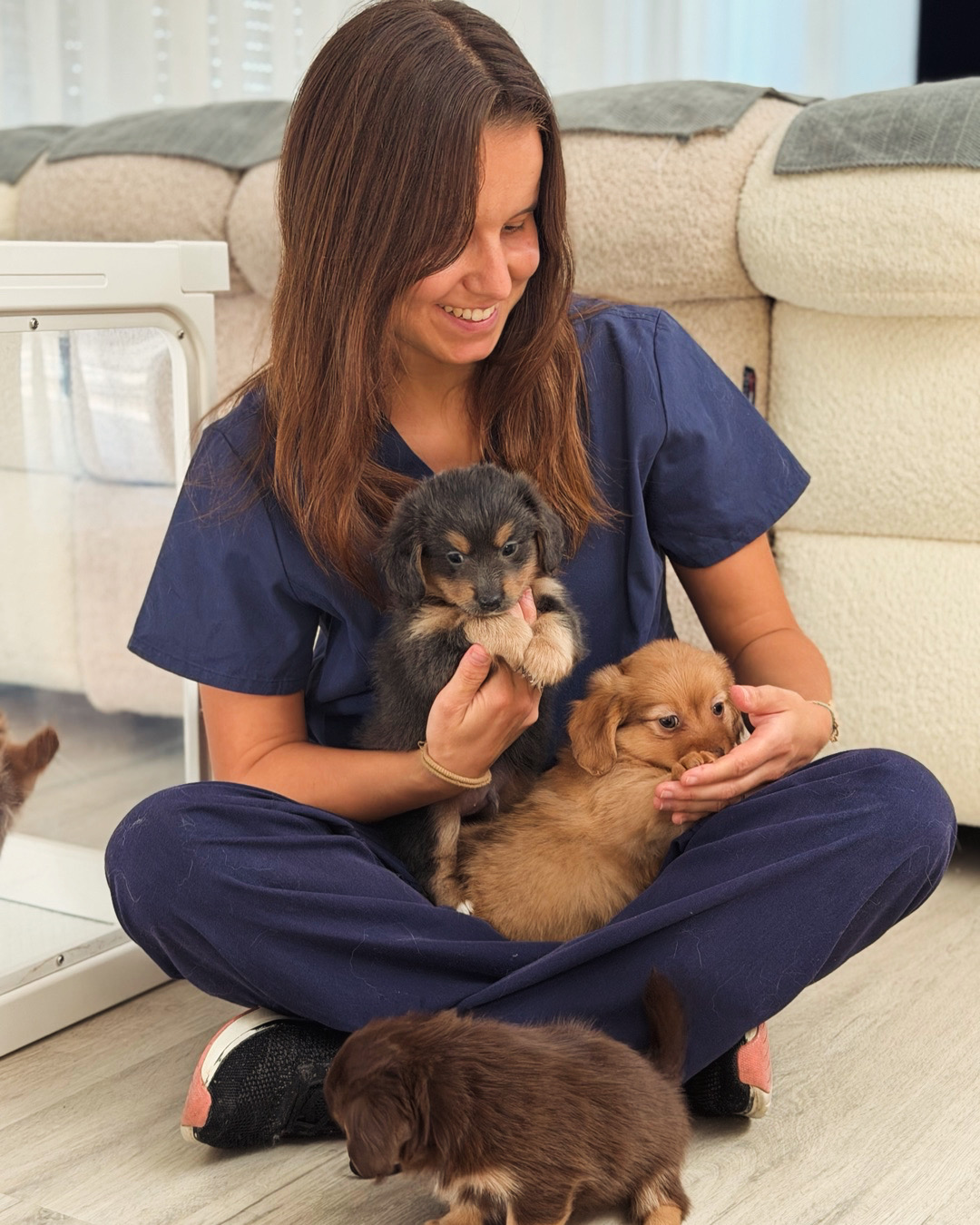 Yoshi Vet Care — 1
