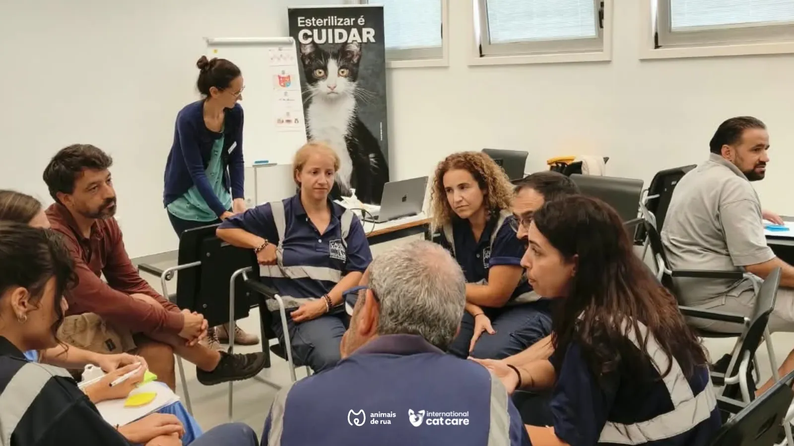 Projeto de Formação Cat Friendly