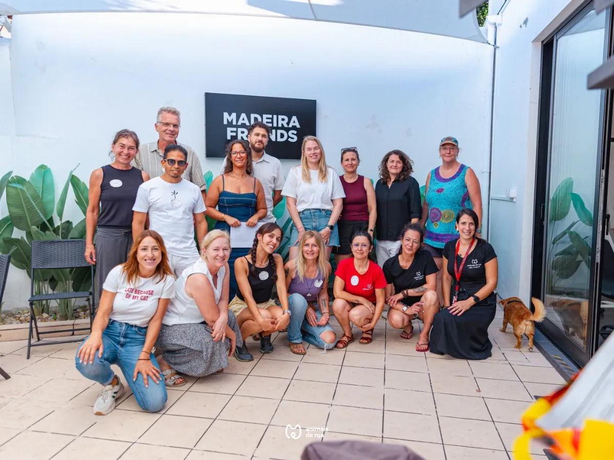 2.ª campanha CED na ilha da Madeira