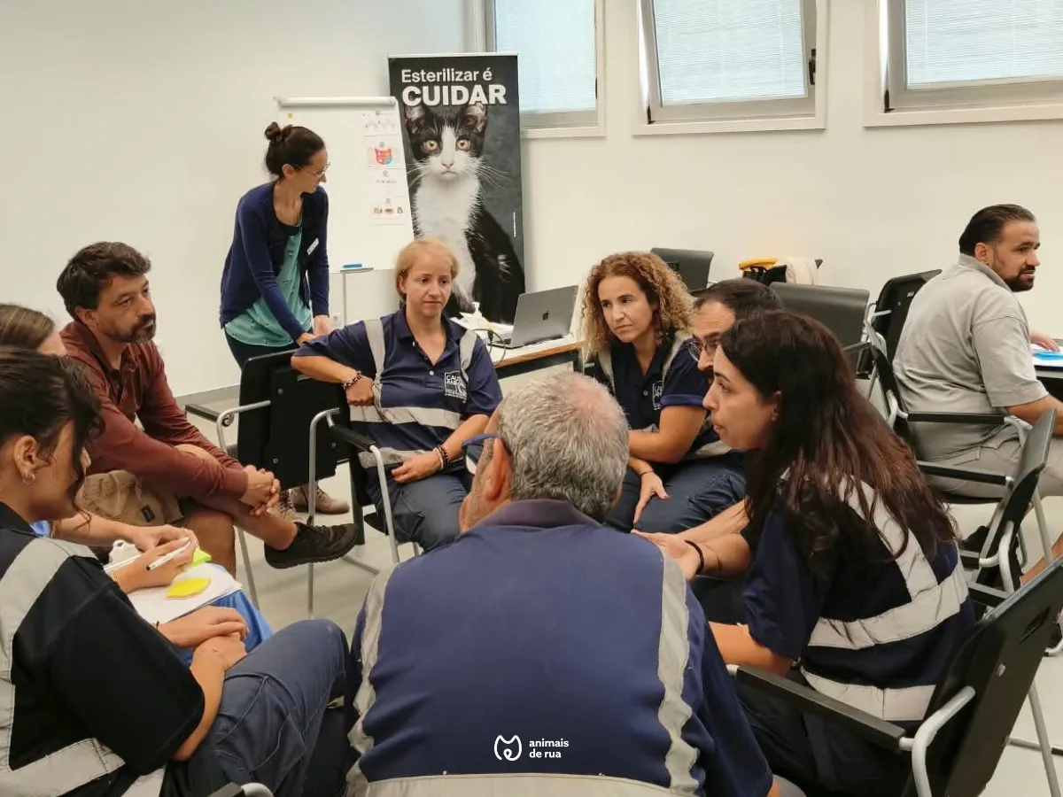Projeto de Formação Cat Friendly