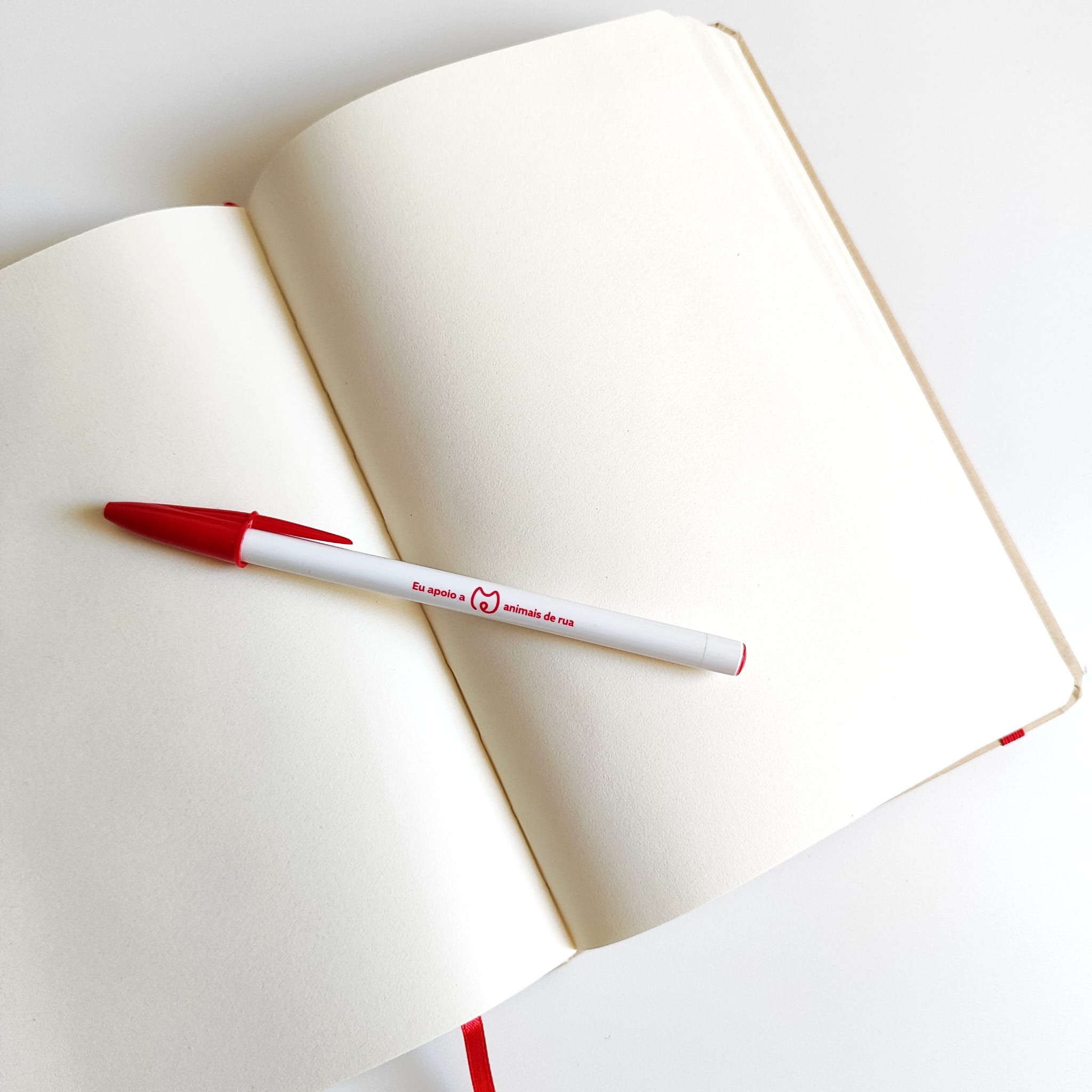 Caderno Ilustrado