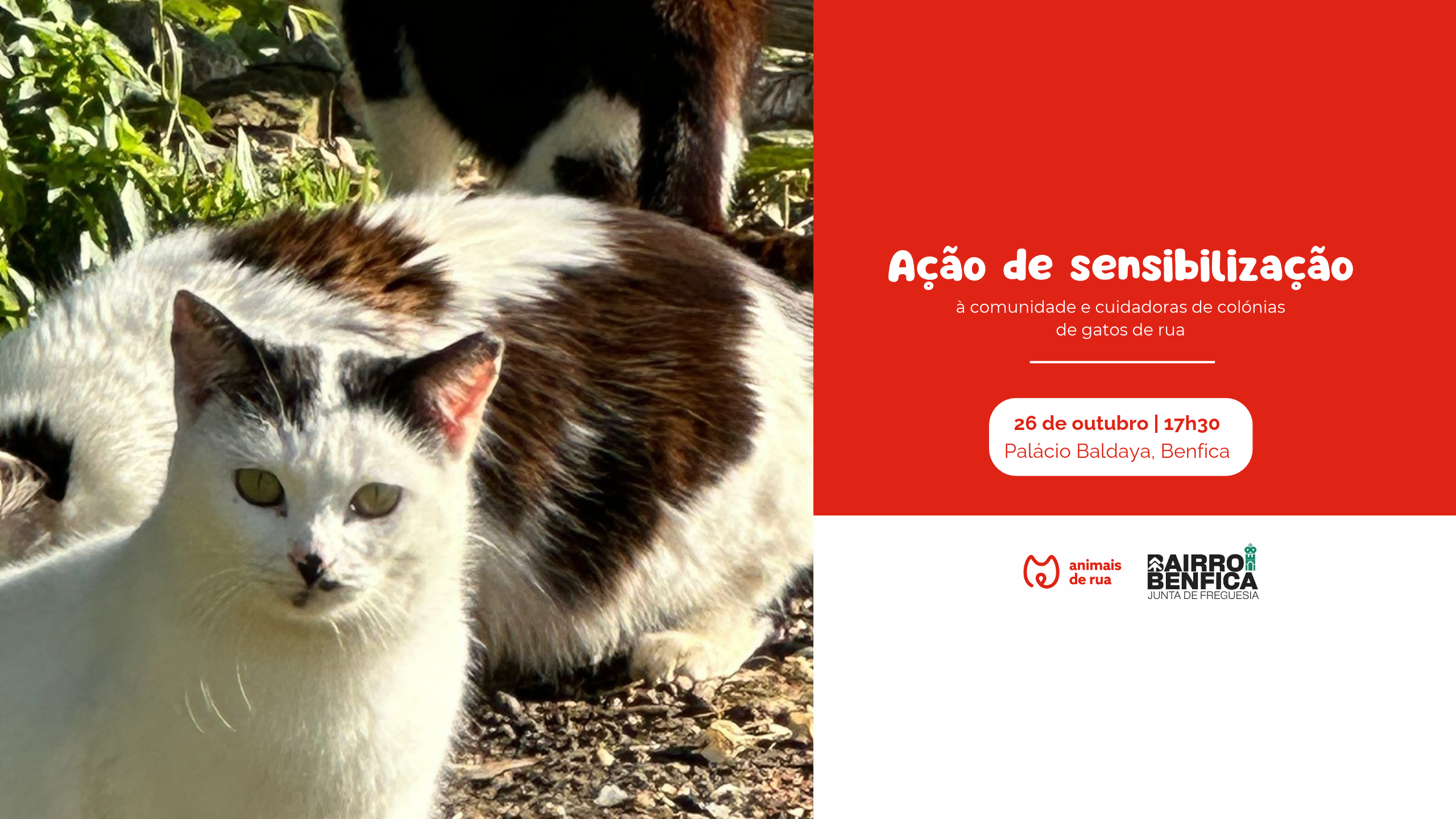 Ação de Sensibilização | Junta Freguesia de Benfica