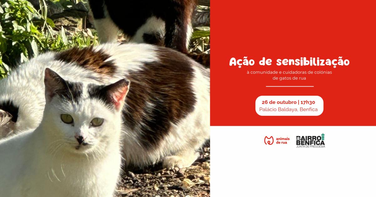 Ação de Sensibilização | Junta Freguesia de Benfica