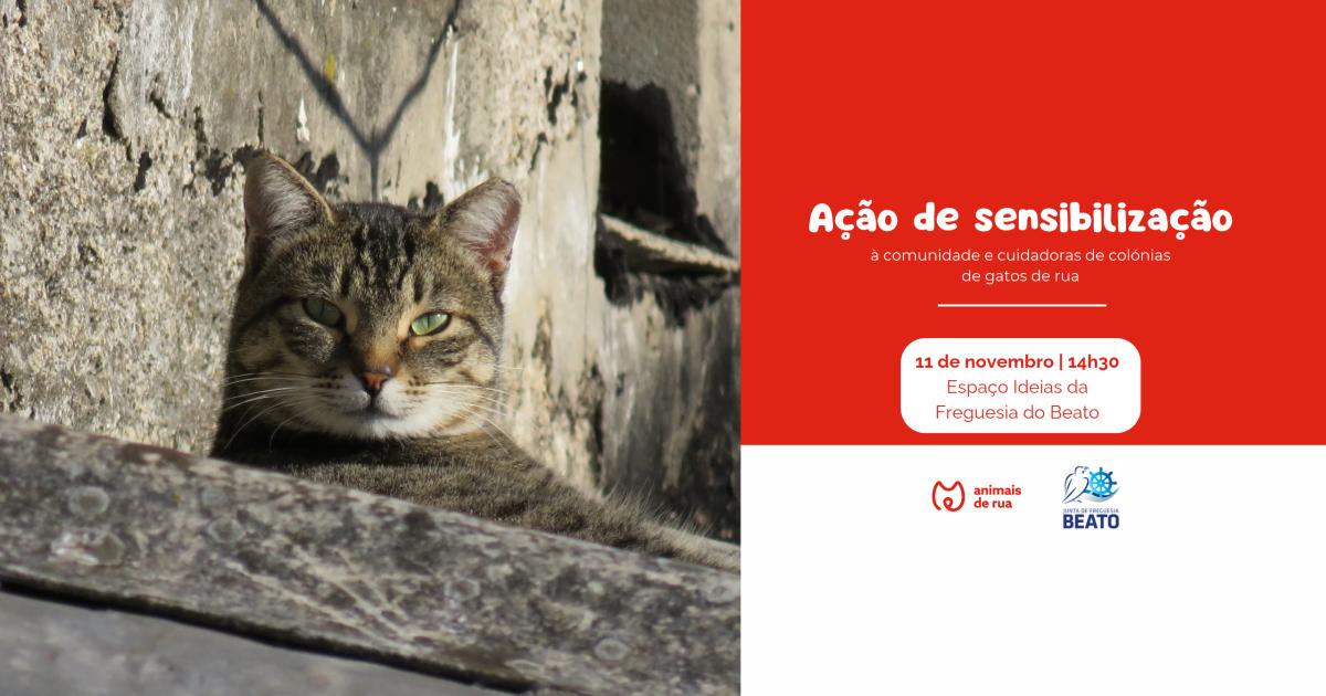 Ação de Sensibilização | Junta de Freguesia do Beato
