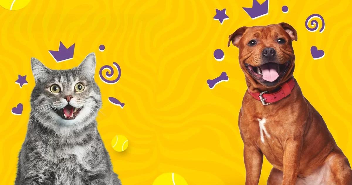 Festa do Animal | Lisboa 2026