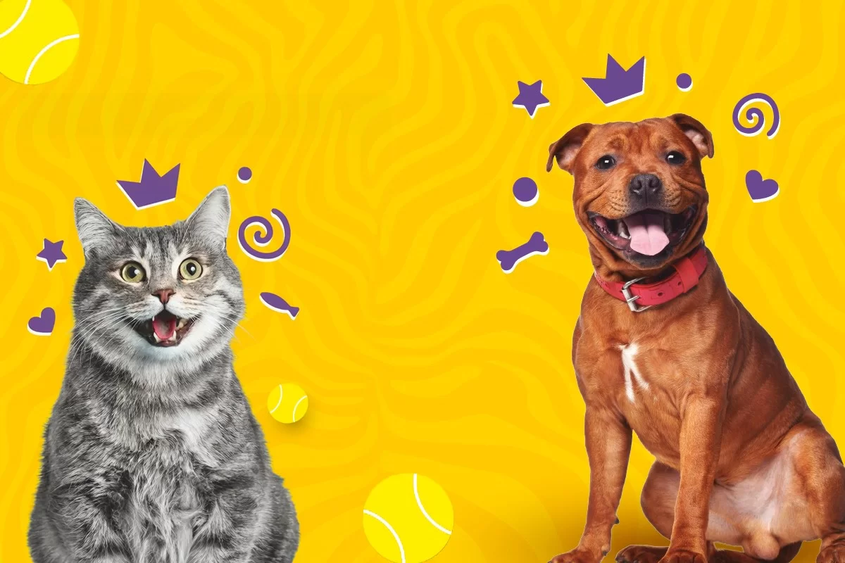 Festa do Animal | Lisboa 2026