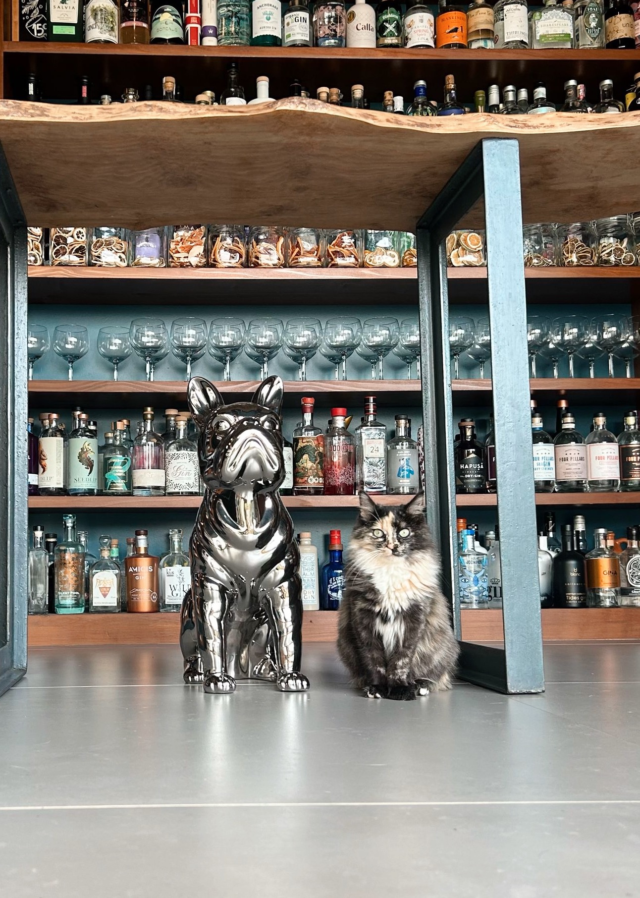 The Gin Library — 1