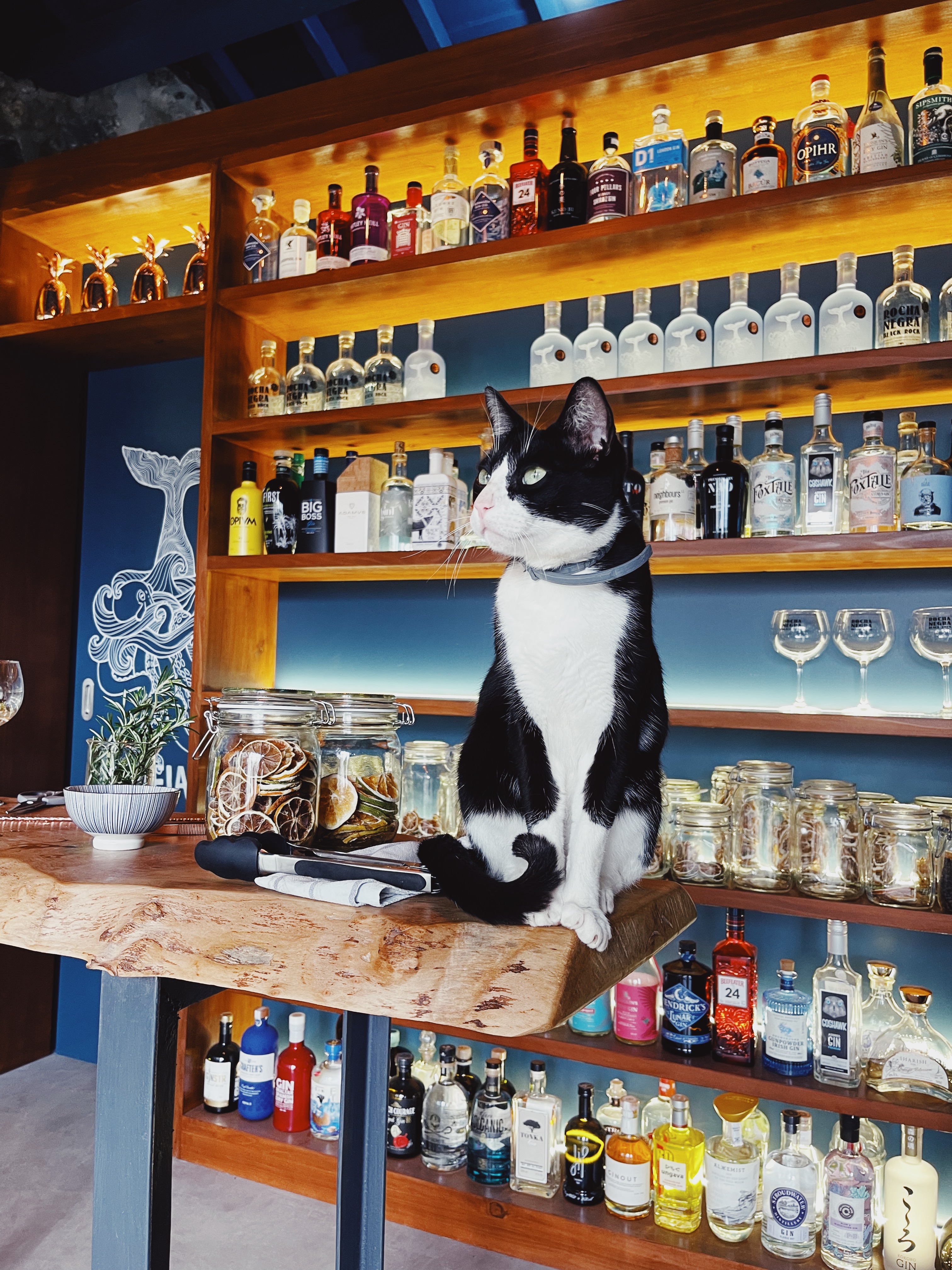 The Gin Library — 2