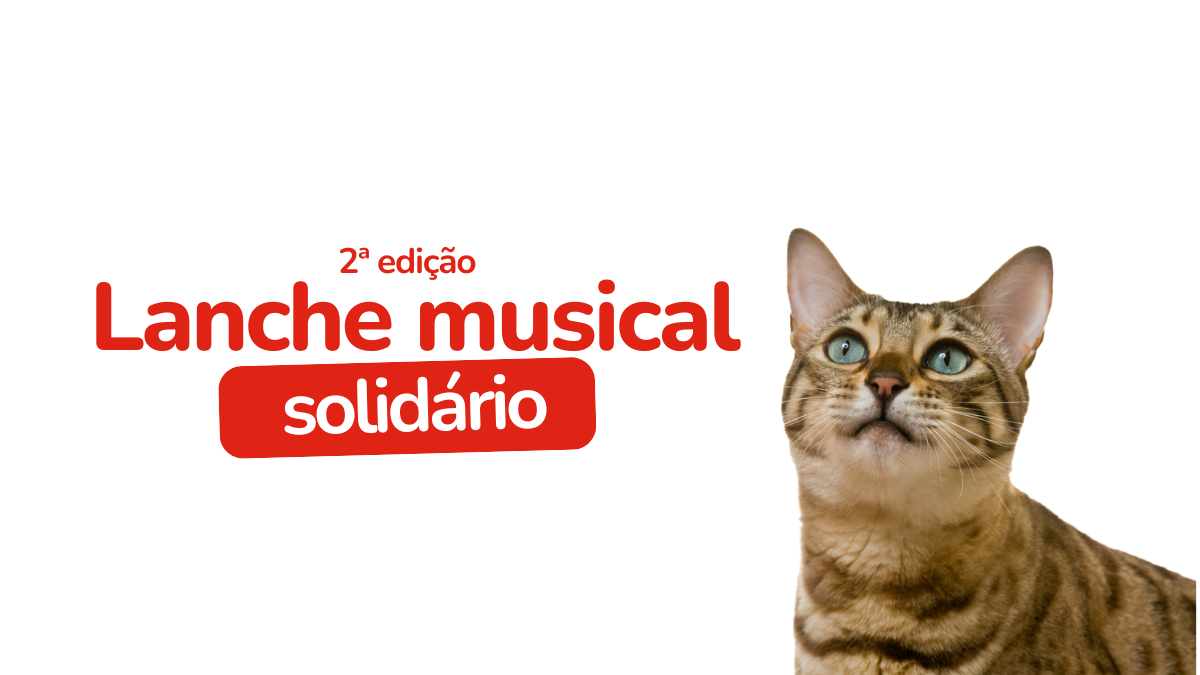 2ª Edição Lanche Musical Solidário