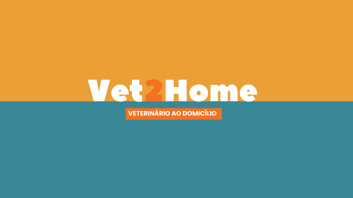 Vet2Home | Veterinário ao Domicílio