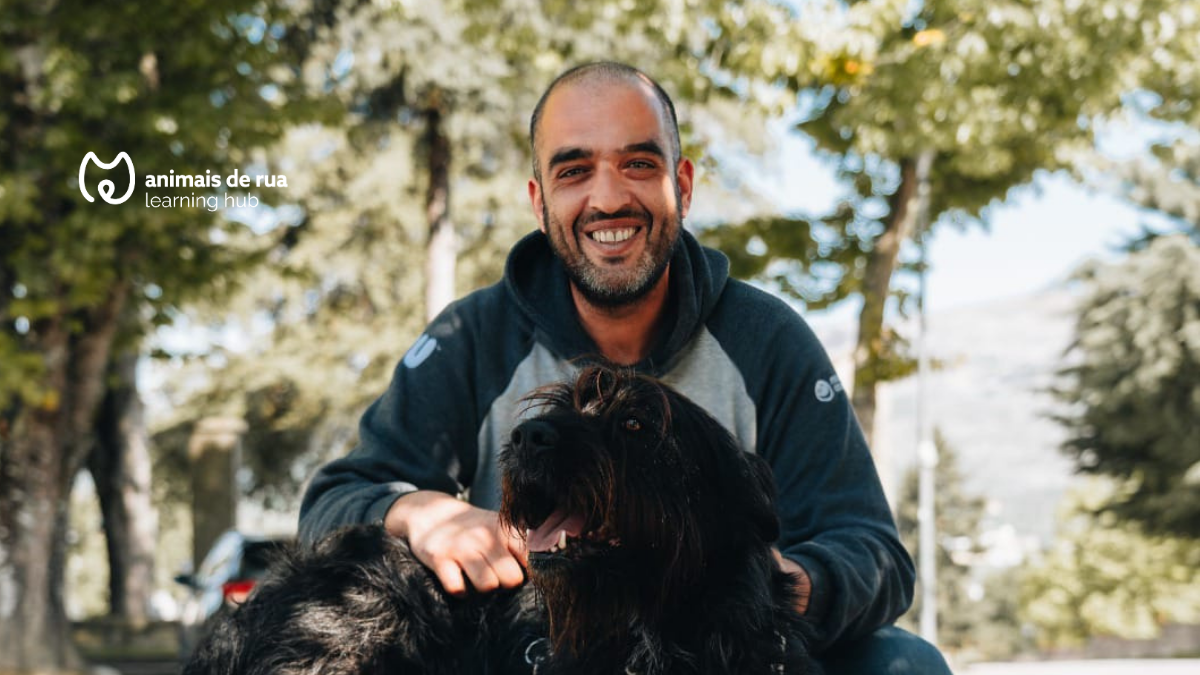 Como lidar com cães com comportamentos mais desafiantes