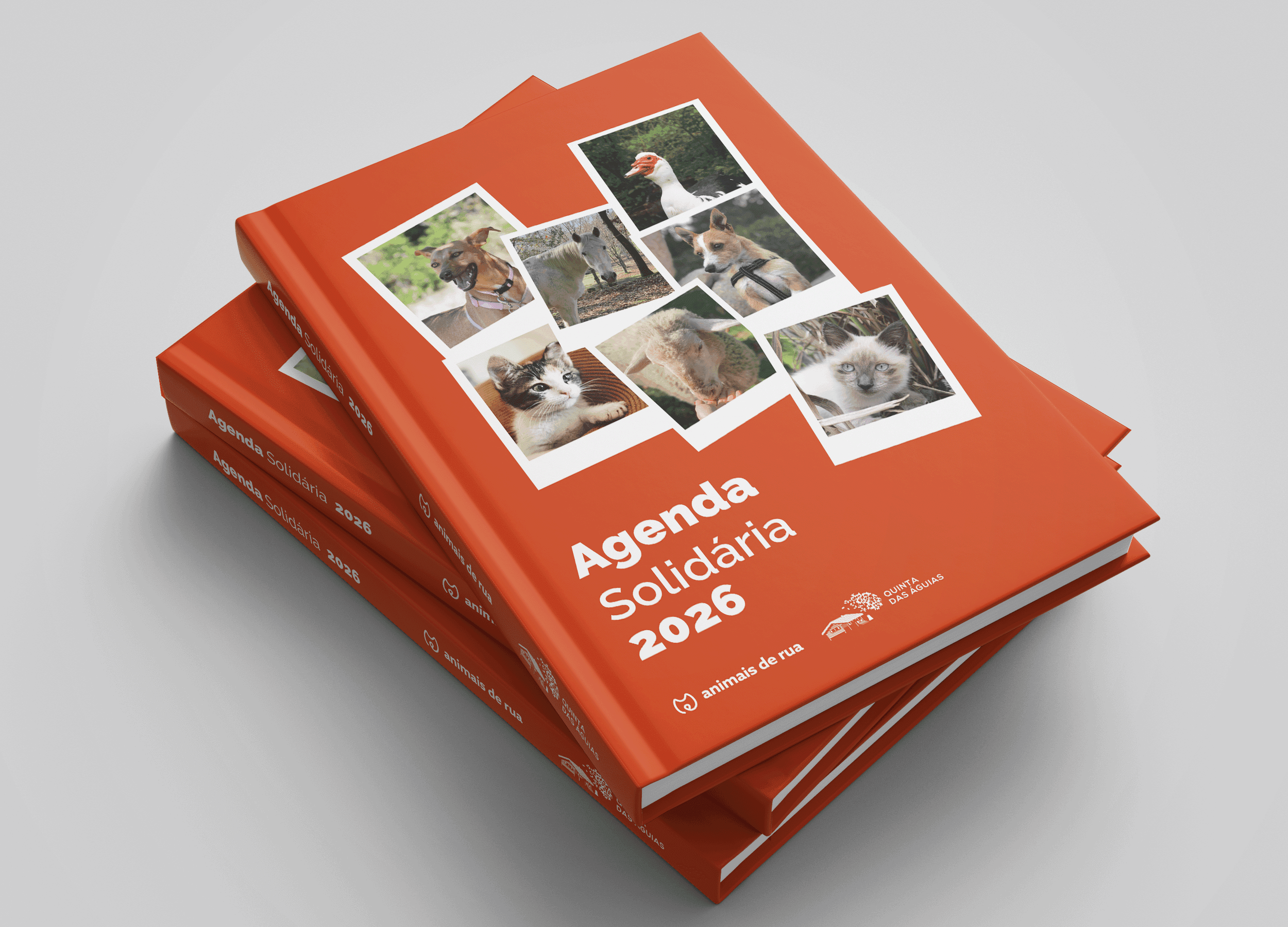 Agenda Solidária 2026