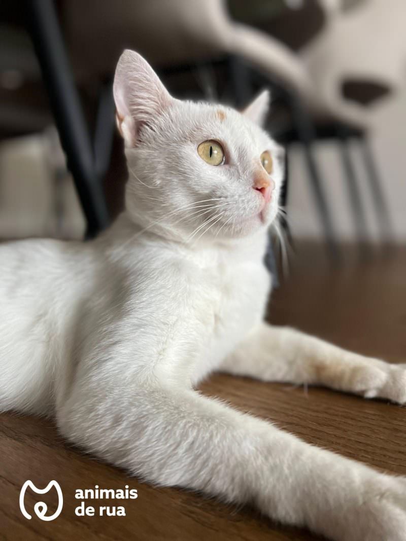 Benny