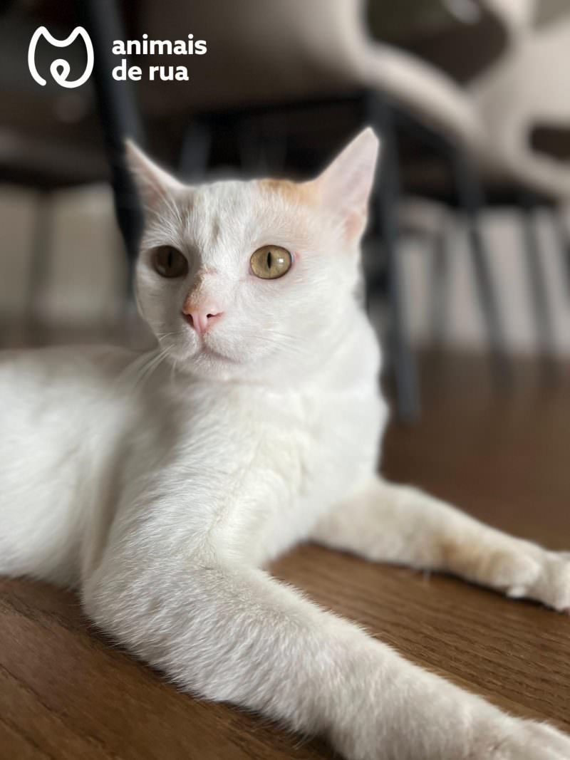 Benny
